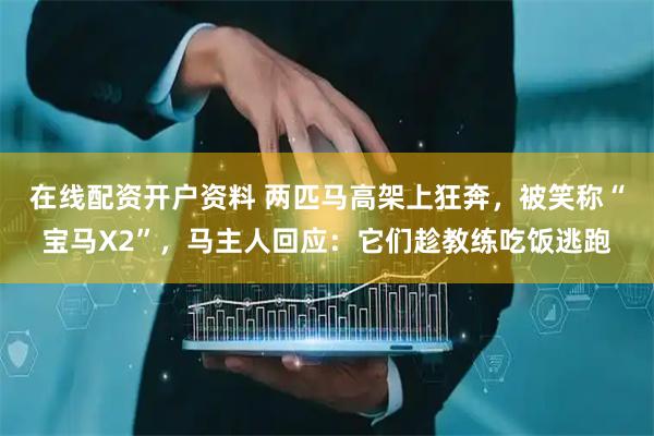 在线配资开户资料 两匹马高架上狂奔，被笑称“宝马X2”，马主人回应：它们趁教练吃饭逃跑